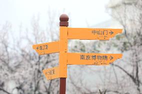 Ming Palace Museum Ruins Park New Street Signs in Nanjing