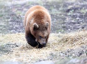 Elistvere Animal Park