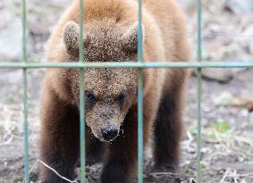 Elistvere Animal Park