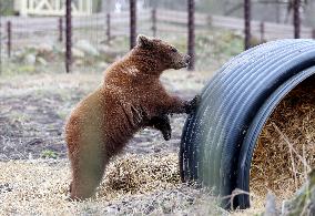 Elistvere Animal Park