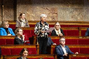 Questions To The French Government At The National Assembly