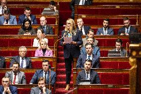 Questions To The French Government At The National Assembly