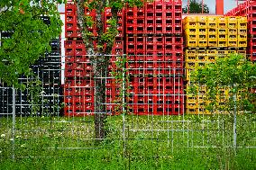 Empties In Empty Crates At Coca-Cola