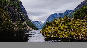 Aerial view of Nærøyfjord, a UNESCO fjord in Norway