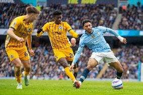 Manchester City FC v Brighton & Hove Albion FC - Premier League