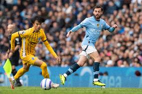 Manchester City FC v Brighton & Hove Albion FC - Premier League