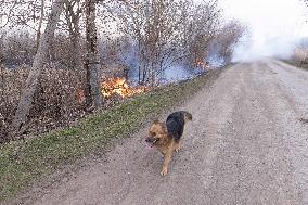 The Russian Army Bombed A Village In The Donetsk Region.