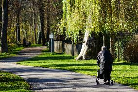 Elderly Woman With A Rollator Walking Outdoors