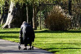 Elderly Woman With A Rollator Walking Outdoors