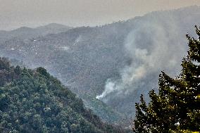 Wildfires Burning In Nainital, Uttarakhand, India