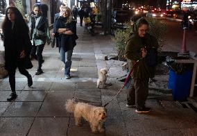 Daily Life In Tehran