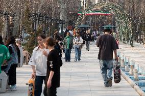 Daily Life In Tehran