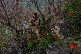 Female Peshmerga Fighters In The Mountains - Iraq