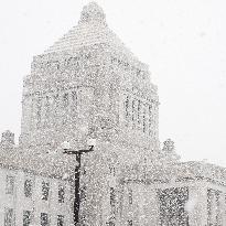 Snow in Tokyo