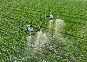 Spraying Drone