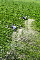 Spraying Drone