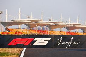 F1 Grand Prix Of China: Preview