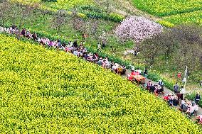 Tourists Eat Hot Pot Among Blooming Rapeseed Flowers in Nanjing