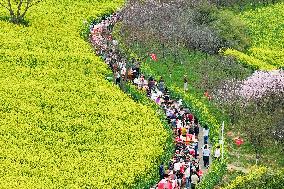 Tourists Eat Hot Pot Among Blooming Rapeseed Flowers in Nanjing