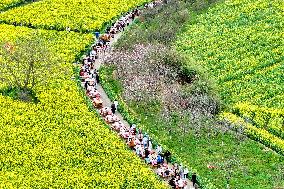 Tourists Eat Hot Pot Among Blooming Rapeseed Flowers in Nanjing