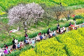 Tourists Eat Hot Pot Among Blooming Rapeseed Flowers in Nanjing