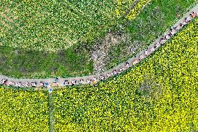 Tourists Eat Hot Pot Among Blooming Rapeseed Flowers in Nanjing