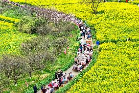 Tourists Eat Hot Pot Among Blooming Rapeseed Flowers in Nanjing
