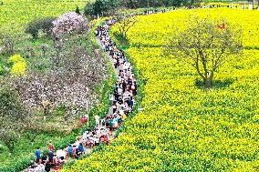Tourists Eat Hot Pot Among Blooming Rapeseed Flowers in Nanjing