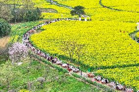 Tourists Eat Hot Pot Among Blooming Rapeseed Flowers in Nanjing