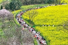 Tourists Eat Hot Pot Among Blooming Rapeseed Flowers in Nanjing