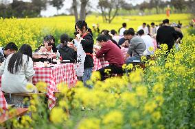 Tourists Eat Hot Pot Among Blooming Rapeseed Flowers in Nanjing