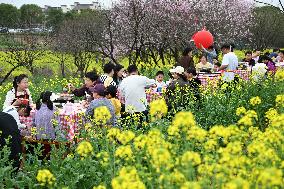 Tourists Eat Hot Pot Among Blooming Rapeseed Flowers in Nanjing