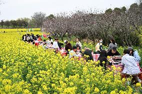 Tourists Eat Hot Pot Among Blooming Rapeseed Flowers in Nanjing