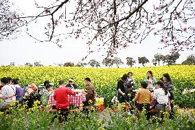 Tourists Eat Hot Pot Among Blooming Rapeseed Flowers in Nanjing