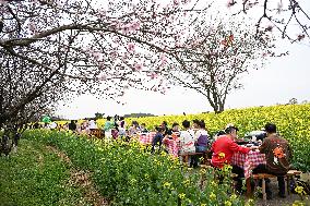 Tourists Eat Hot Pot Among Blooming Rapeseed Flowers in Nanjing