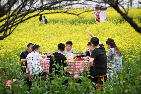 Tourists Eat Hot Pot Among Blooming Rapeseed Flowers in Nanjing