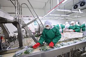 China Manufacturing Industry