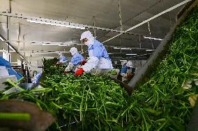 China Manufacturing Industry