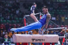ALTRO - Ginnastica - Serie A Artistic Gymnastics