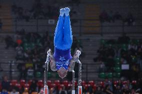 ALTRO - Ginnastica - Serie A Artistic Gymnastics