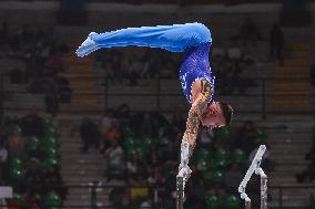 ALTRO - Ginnastica - Serie A Artistic Gymnastics