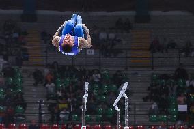 ALTRO - Ginnastica - Serie A Artistic Gymnastics