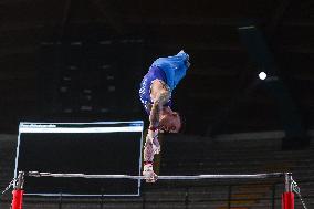 ALTRO - Ginnastica - Serie A Artistic Gymnastics