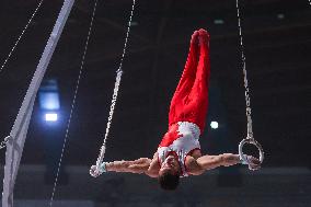 ALTRO - Ginnastica - Serie A Artistic Gymnastics