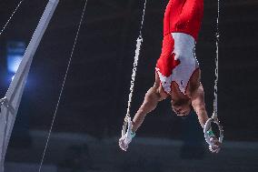 ALTRO - Ginnastica - Serie A Artistic Gymnastics