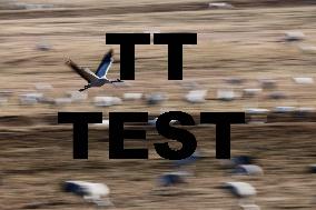 TT NEWS AGENCY TEST 3