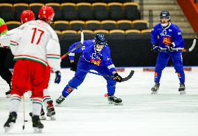 BANDY WORLD CHAMPIONSHIP 2025 FINLAND-HUNGARY