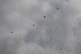 Drone Swarm And Bird Illustrations - France