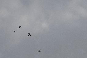 Drone Swarm And Bird Illustrations - France