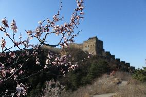 Firefighters Patrol Jinshanling Great Wall Scenic Area in  Cheng
